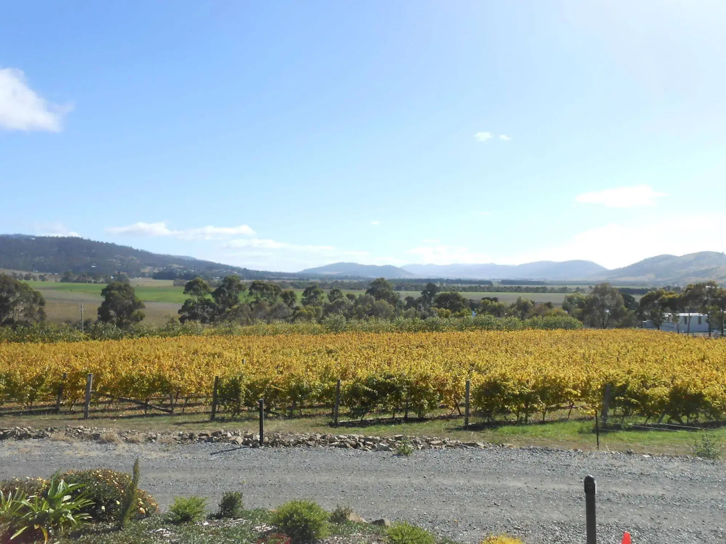 Riversdale Estate Cottages