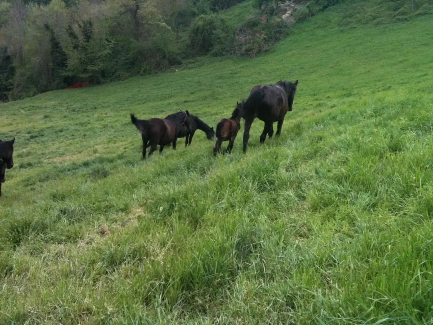 La Cittadella Dei Monti Sibillini