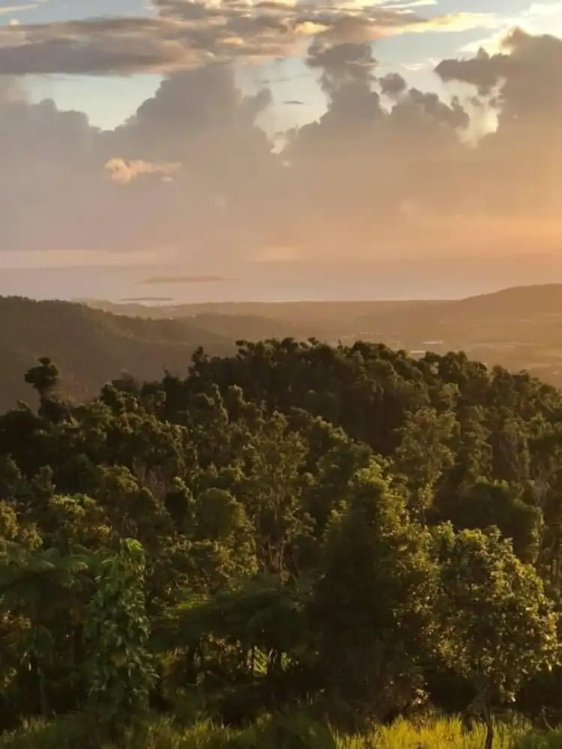 Serenity Rainforest Retreat