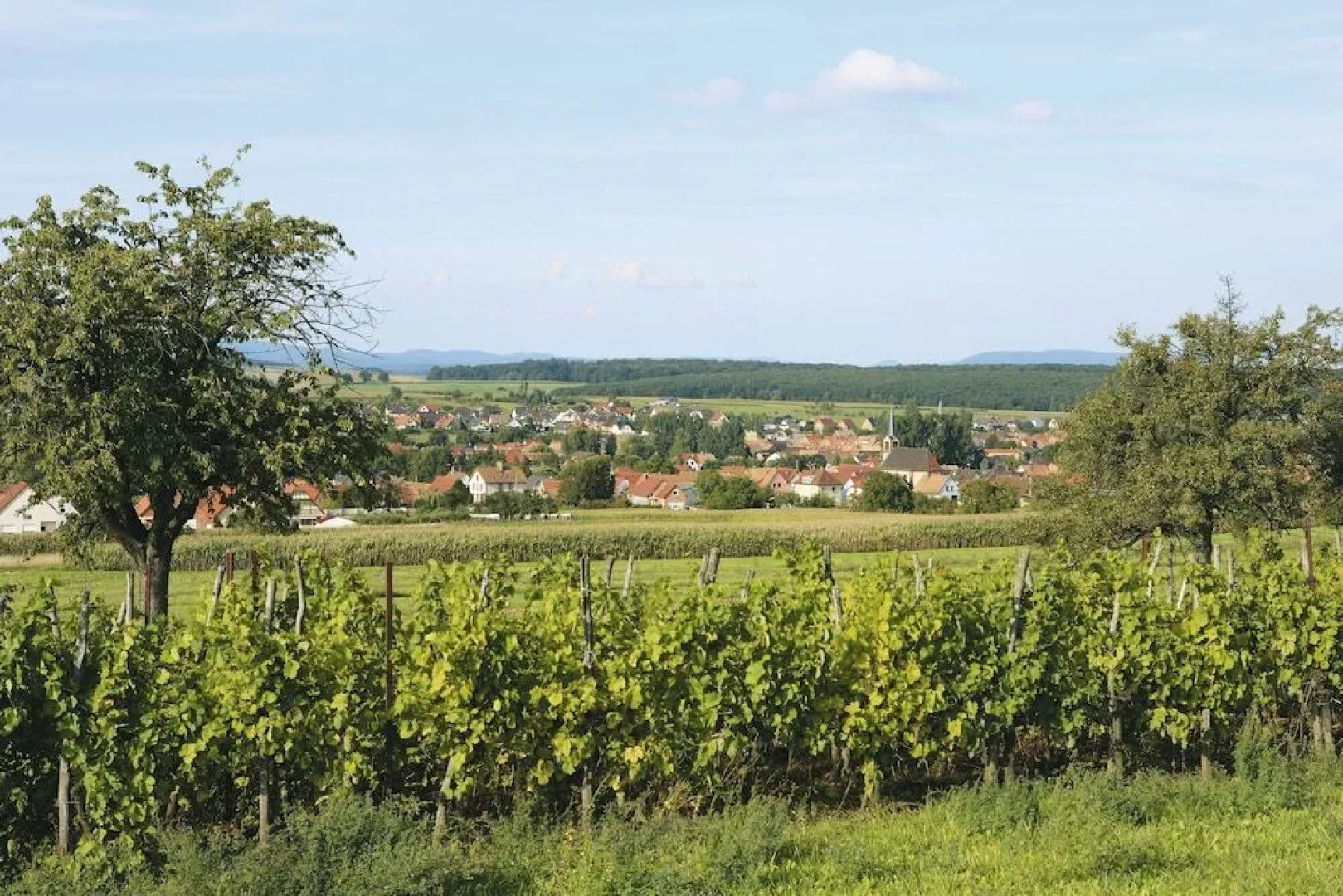 Hôtel Restaurant de lAgneau