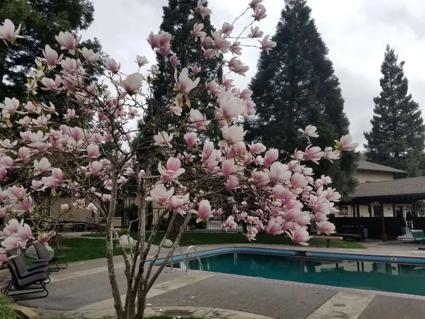 Redwood Garden Inn