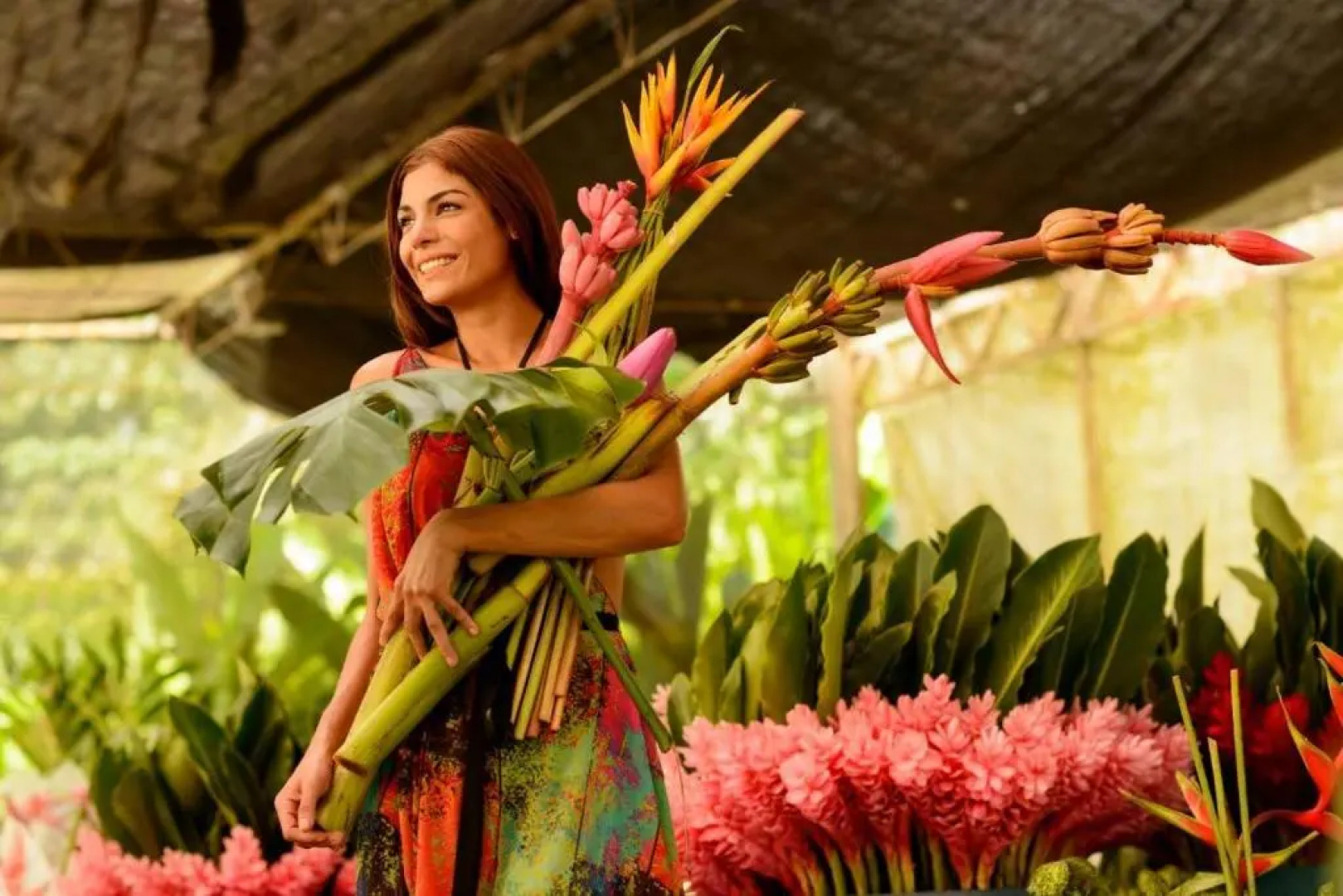 Argovia Finca Resorts