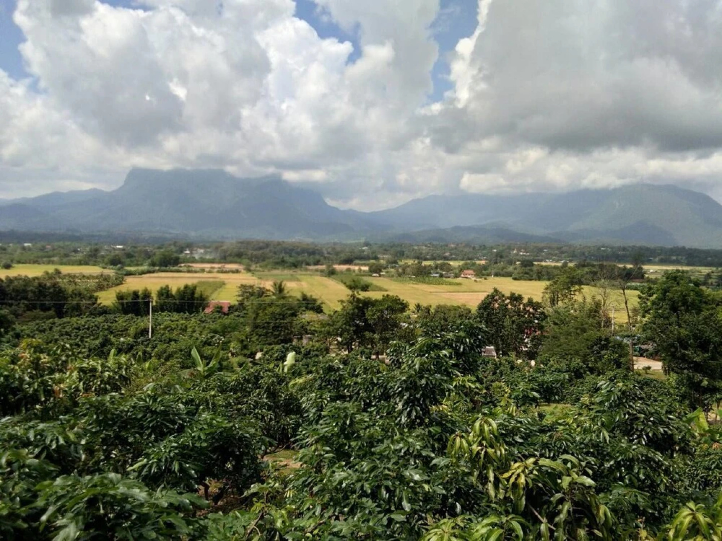 Doichaenggram Homestay