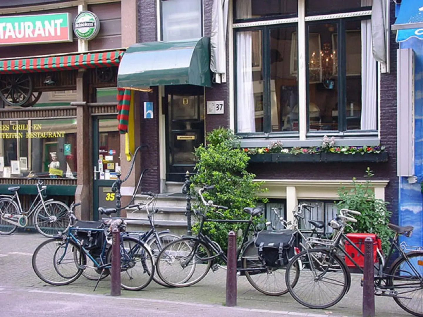 Quentin Hotel Golden Bear