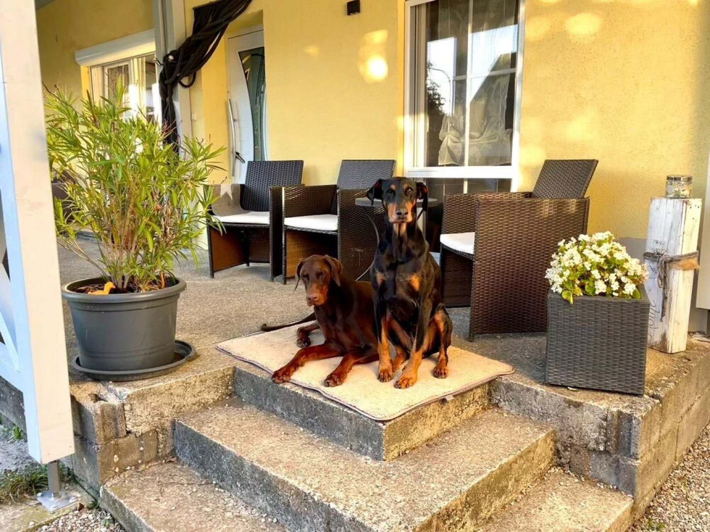 Ferienwohnung Toja