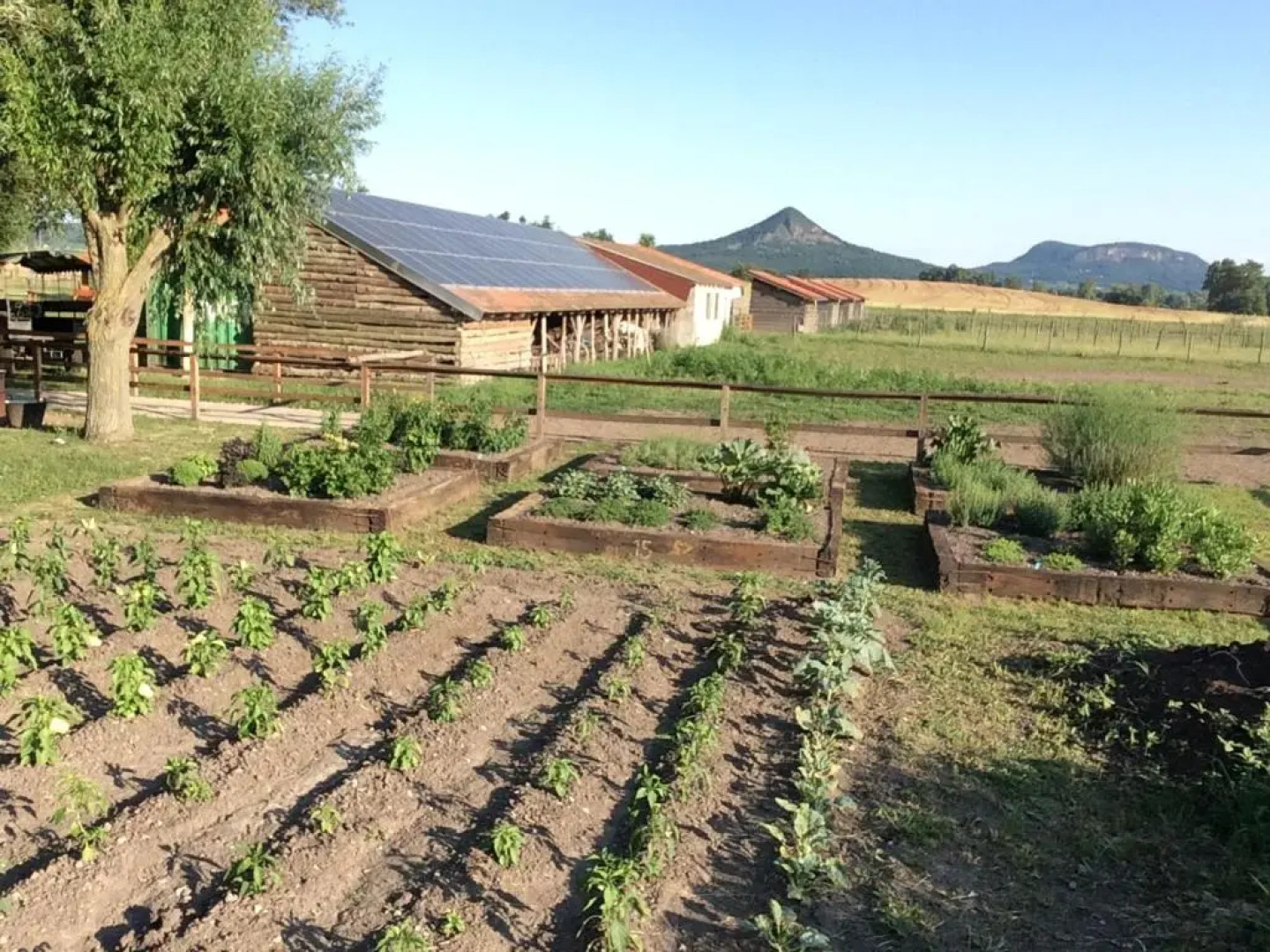 Gyulavezér Lovasbirodalma