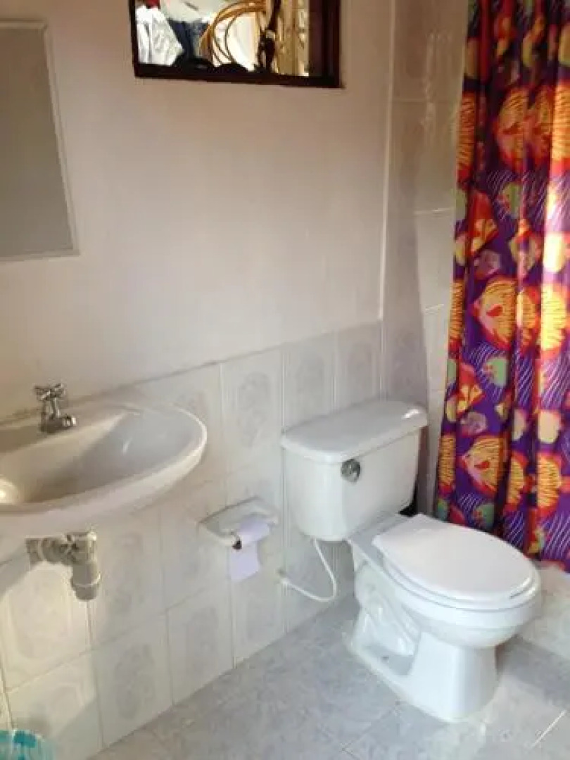 Jaguar Azul Palomino