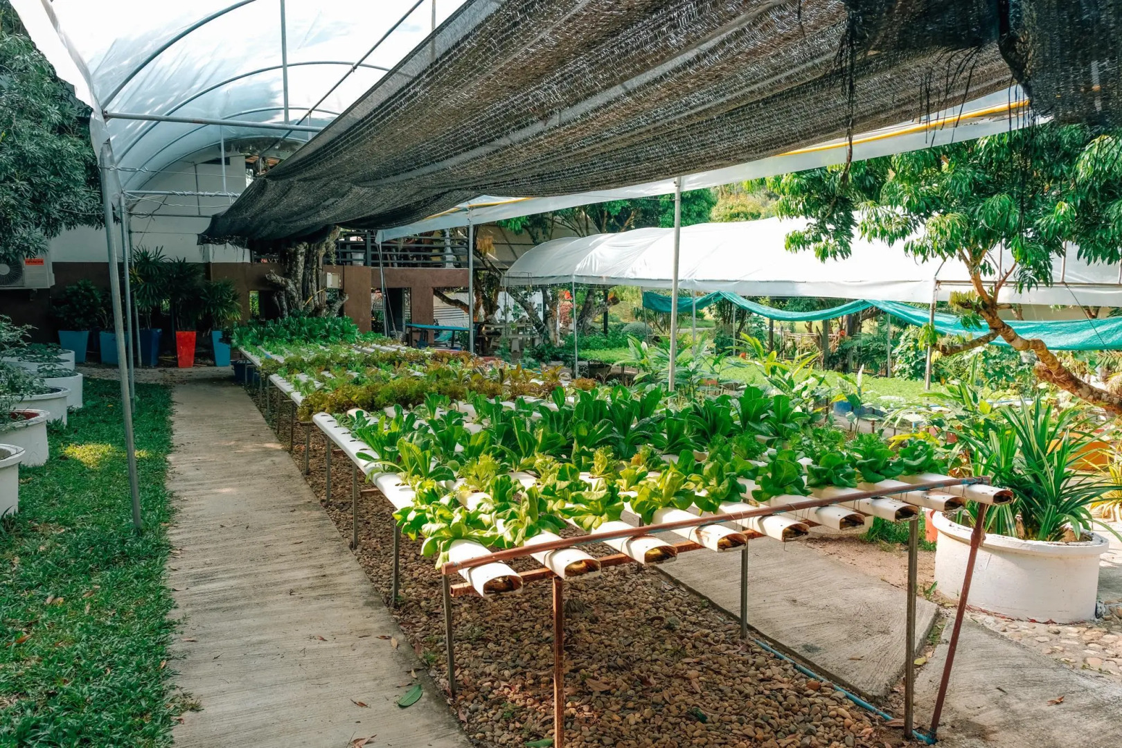 Silver Garden Resort