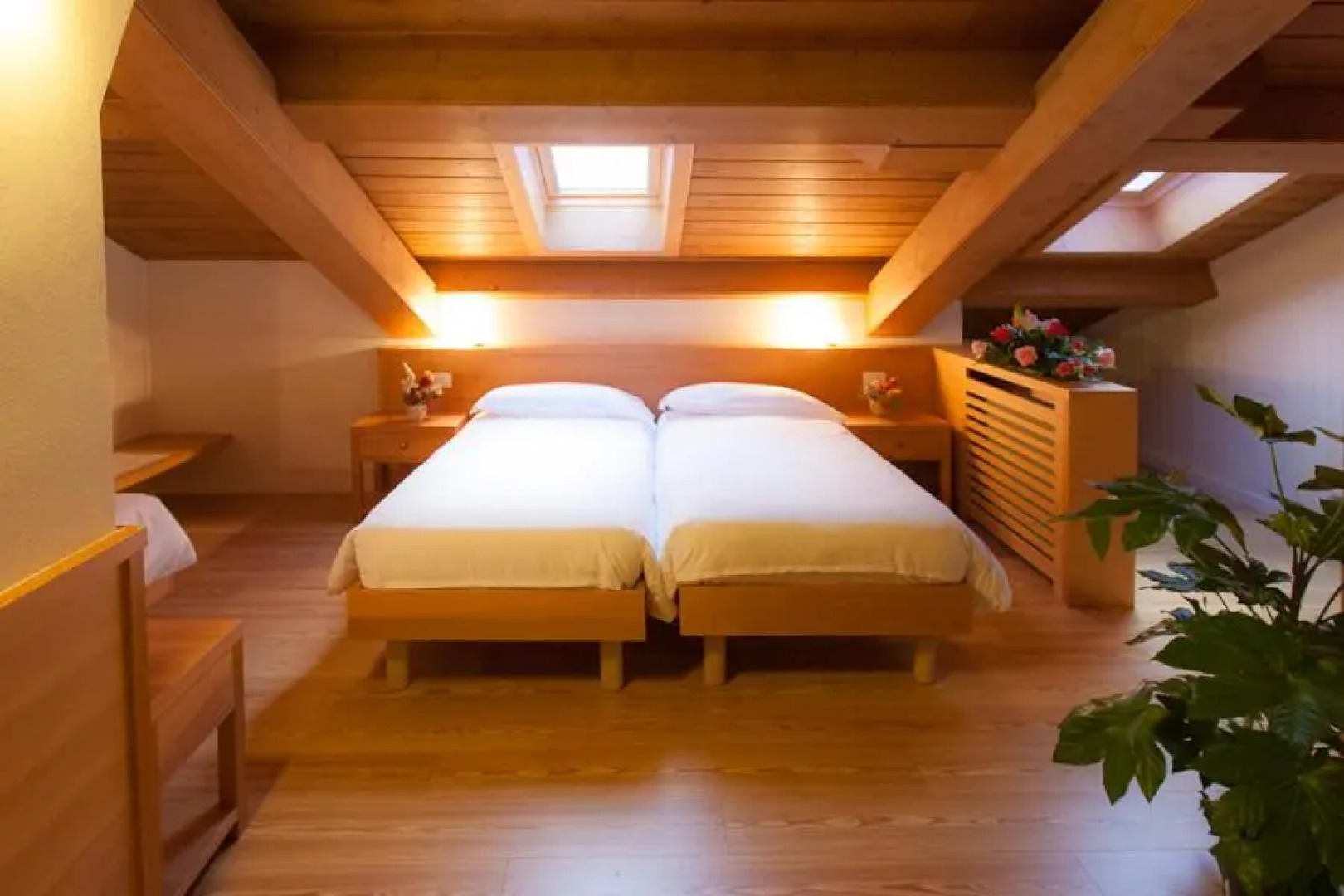 Appartamenti Regina Dolomitissime