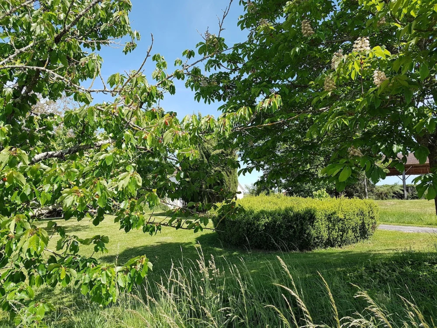 Gîte de La Gurlanne (Beautiful Renovated Farmhouse in Gers, for 6 pers