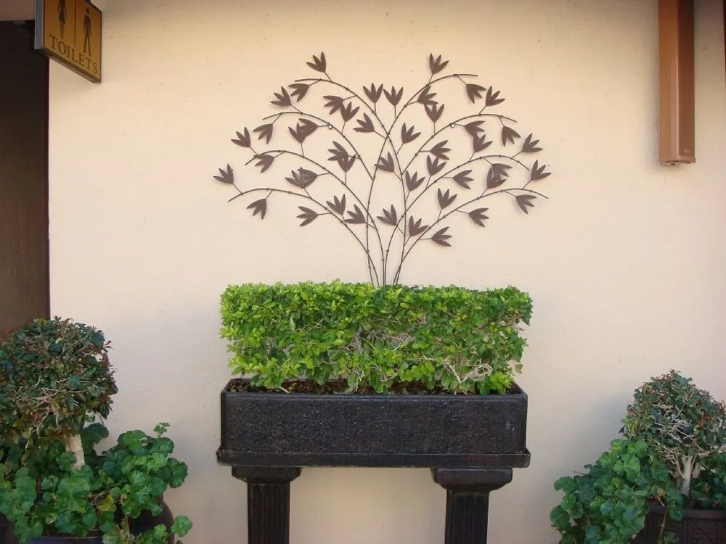 The Lapha Guesthouse and Conference Centre