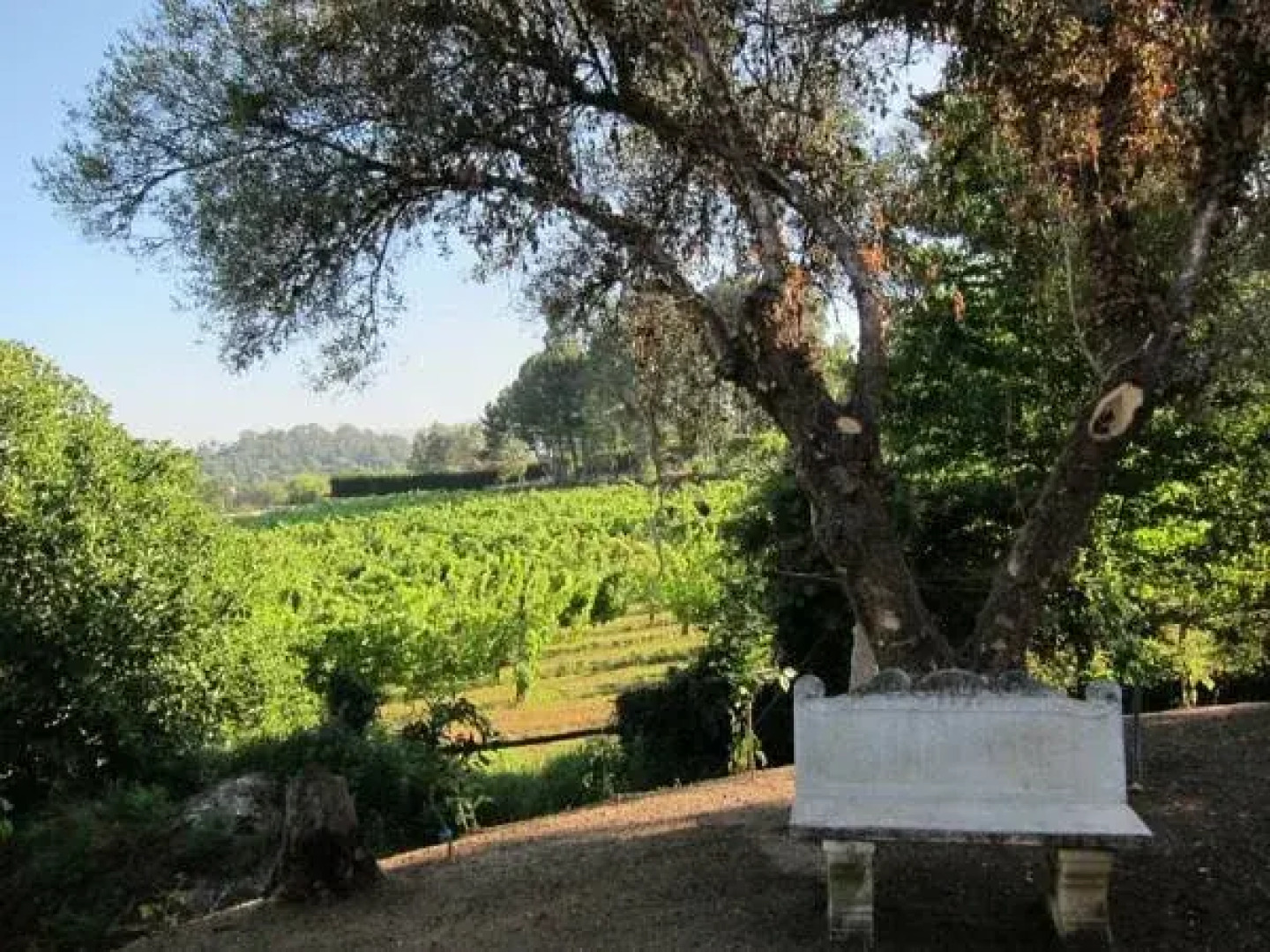 Quinta Vale do Homem