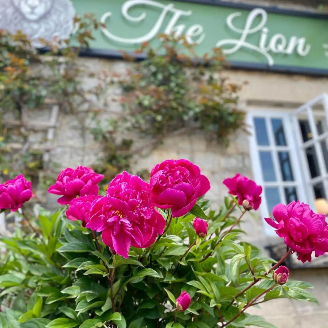 The Lion at Pennard