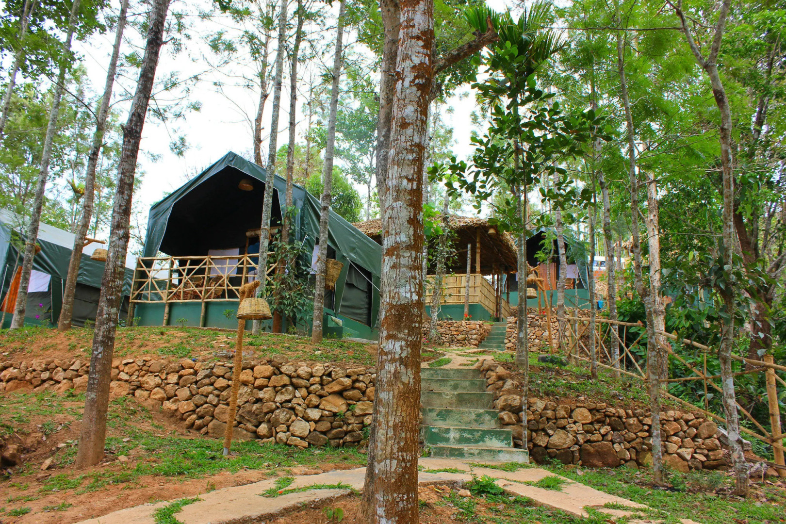 Season7 The Nature Resort - Munnar