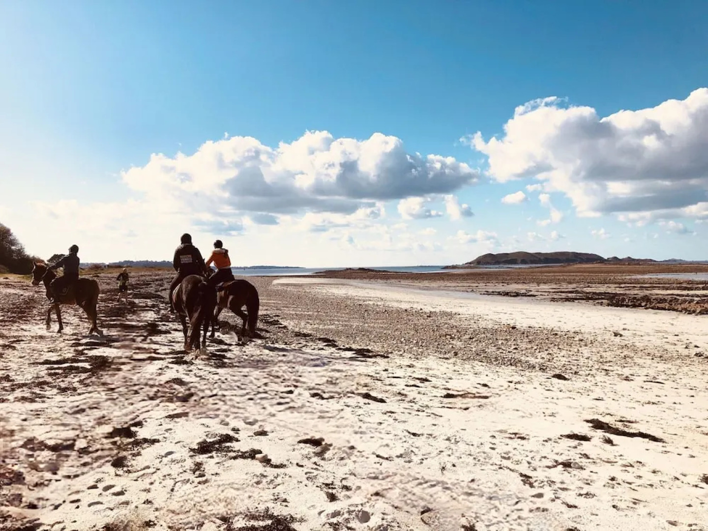 Magnificent Villa by the sea