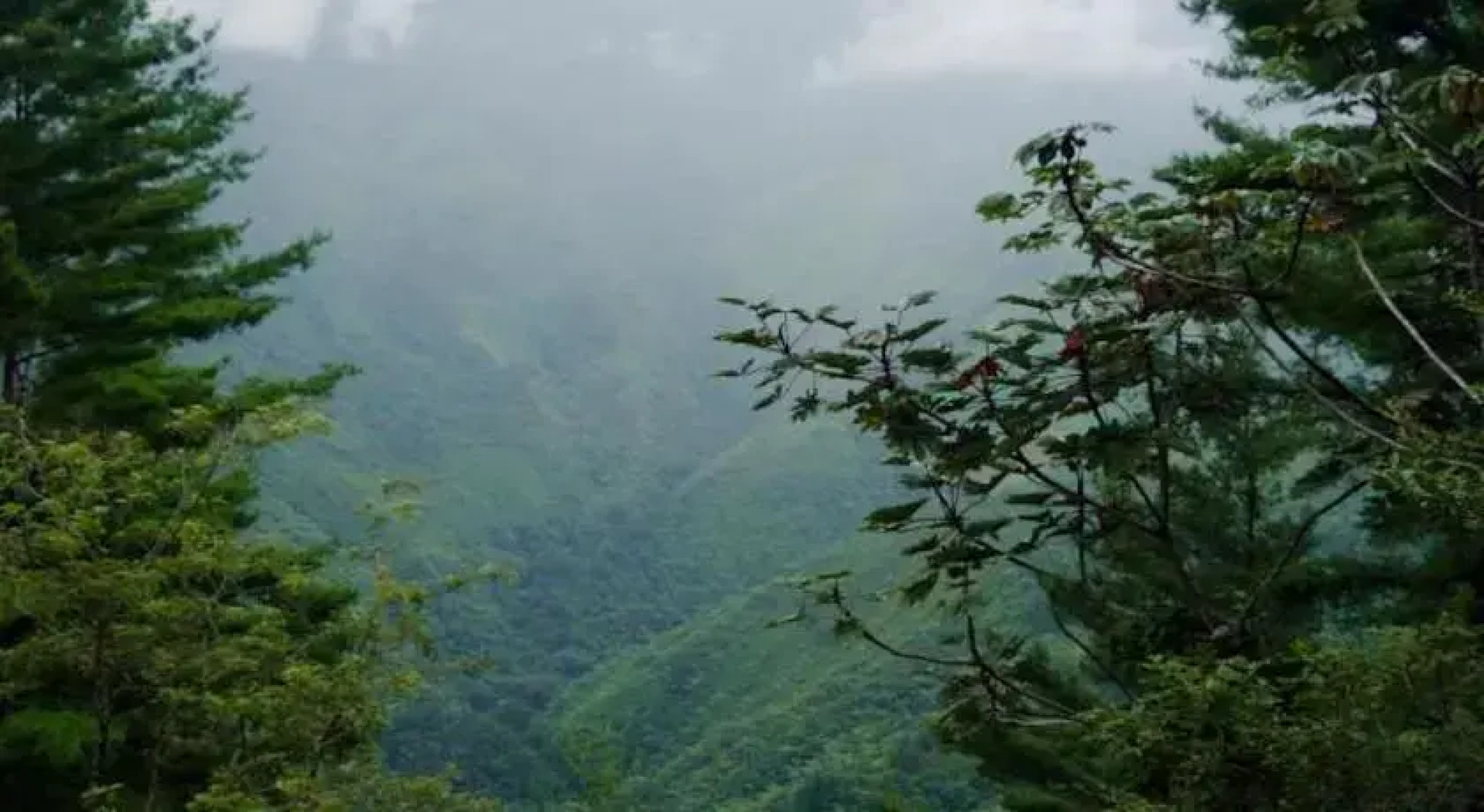 Cabaña Santa Cruz Tepetotutla