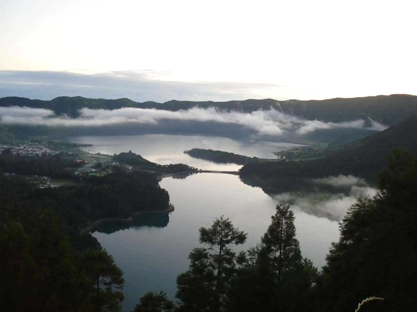 THE CEDAR TREE HOUSE Studio 48