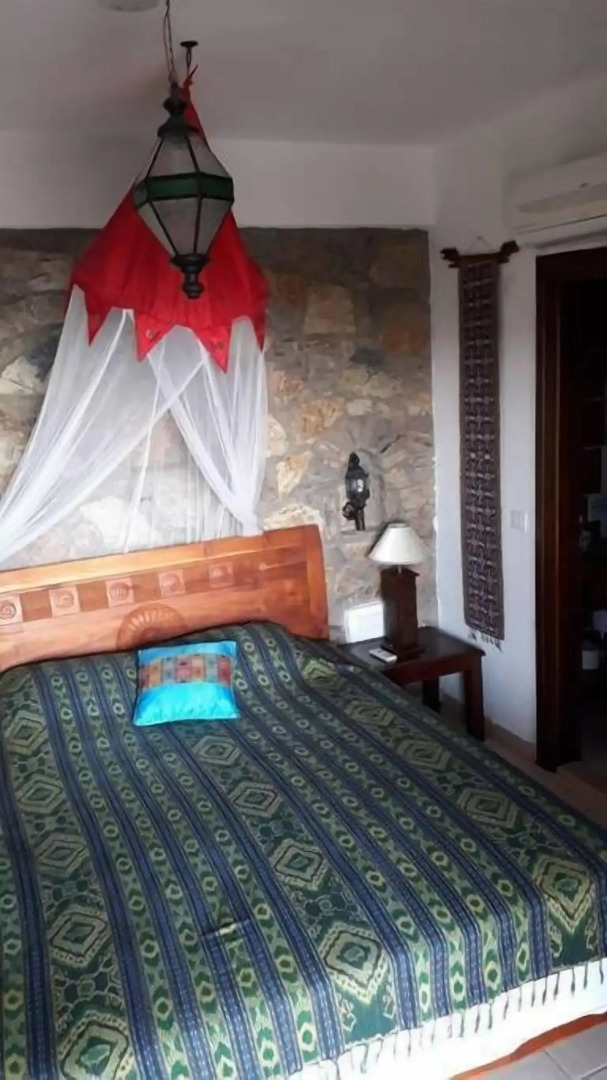 Lazy Lizard Boutique-Hotel