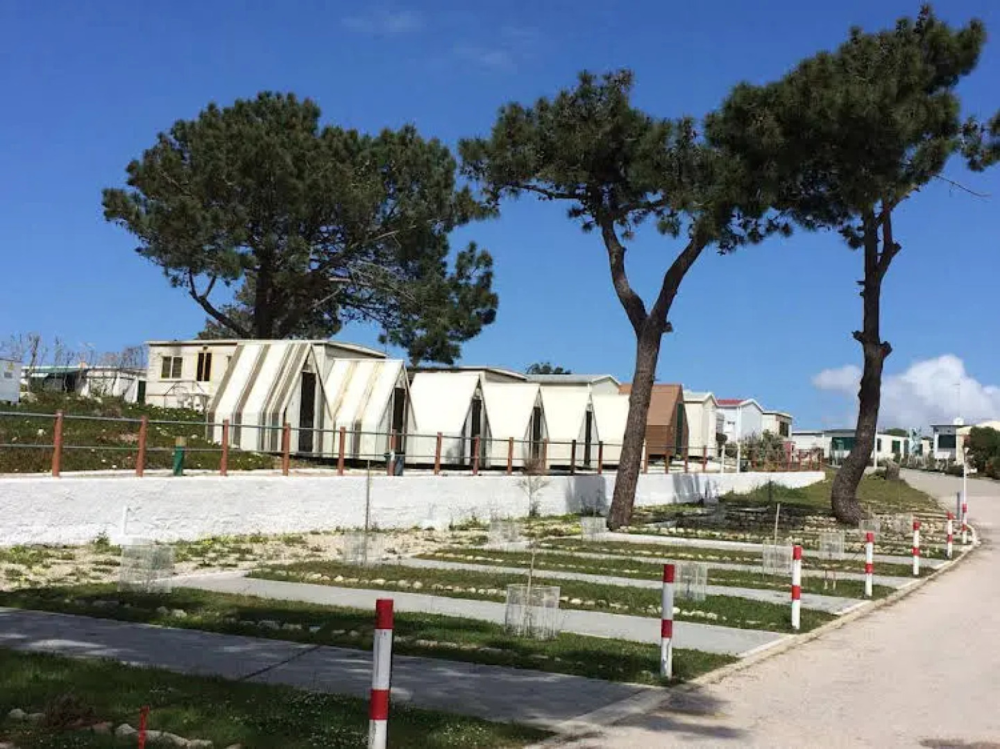 Campimeco by Campigir