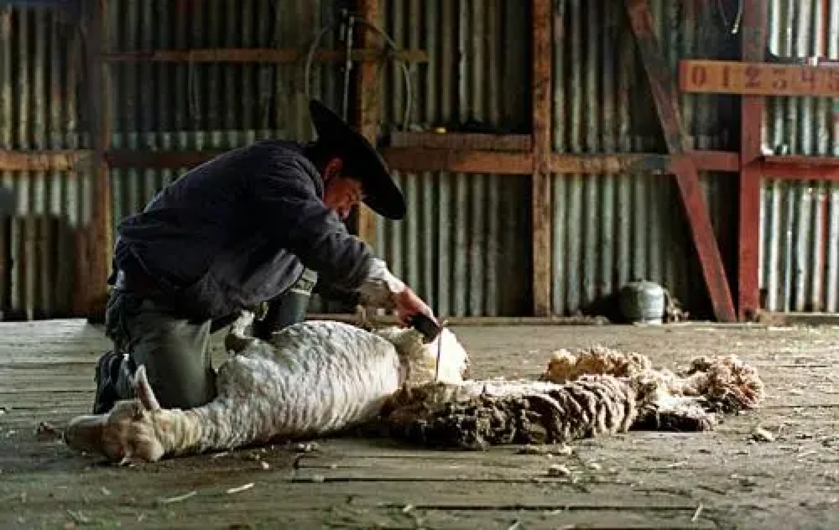 Estancia Nibepo Aike