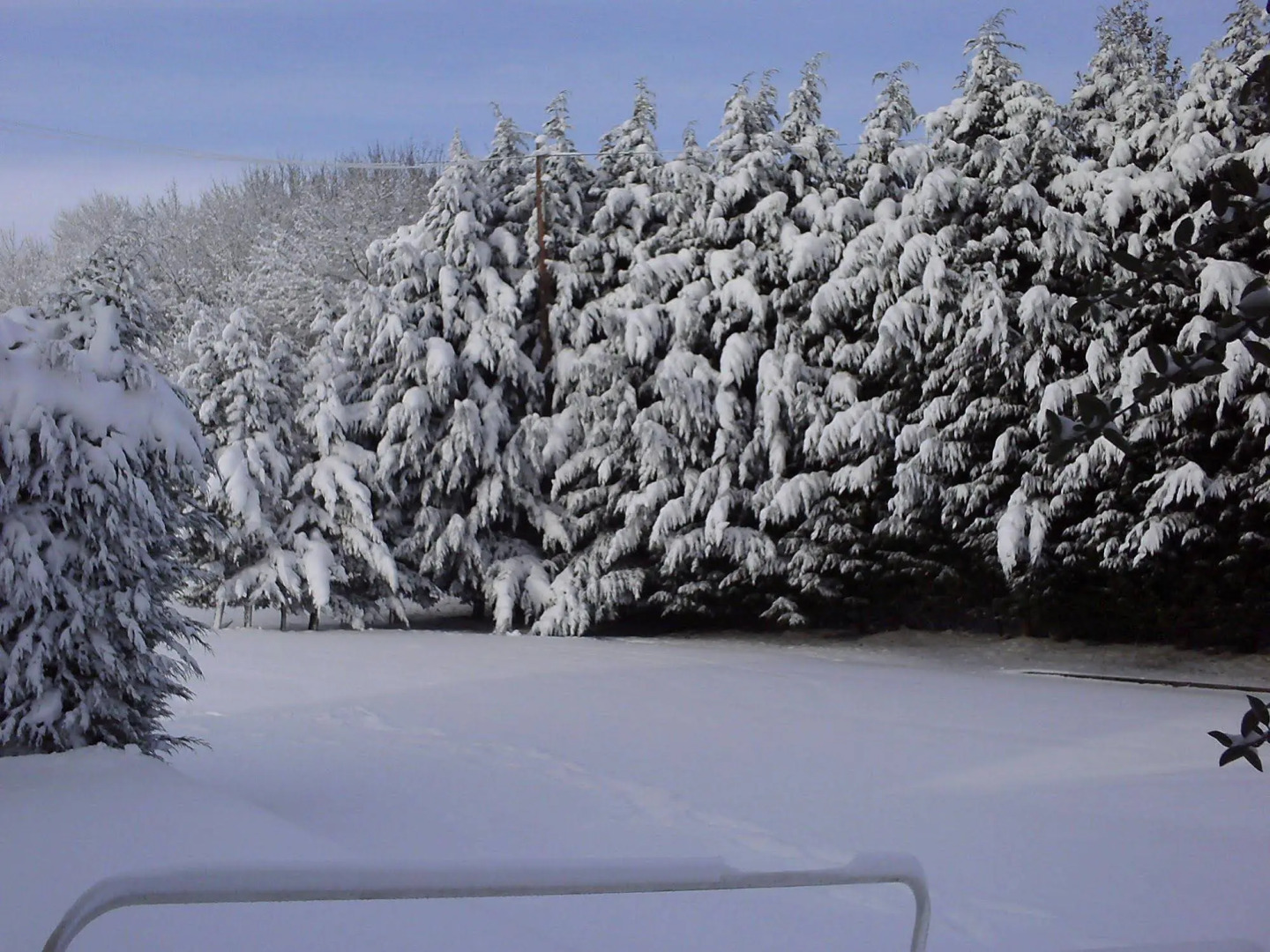 The Bowling Green Steakhouse Hotel