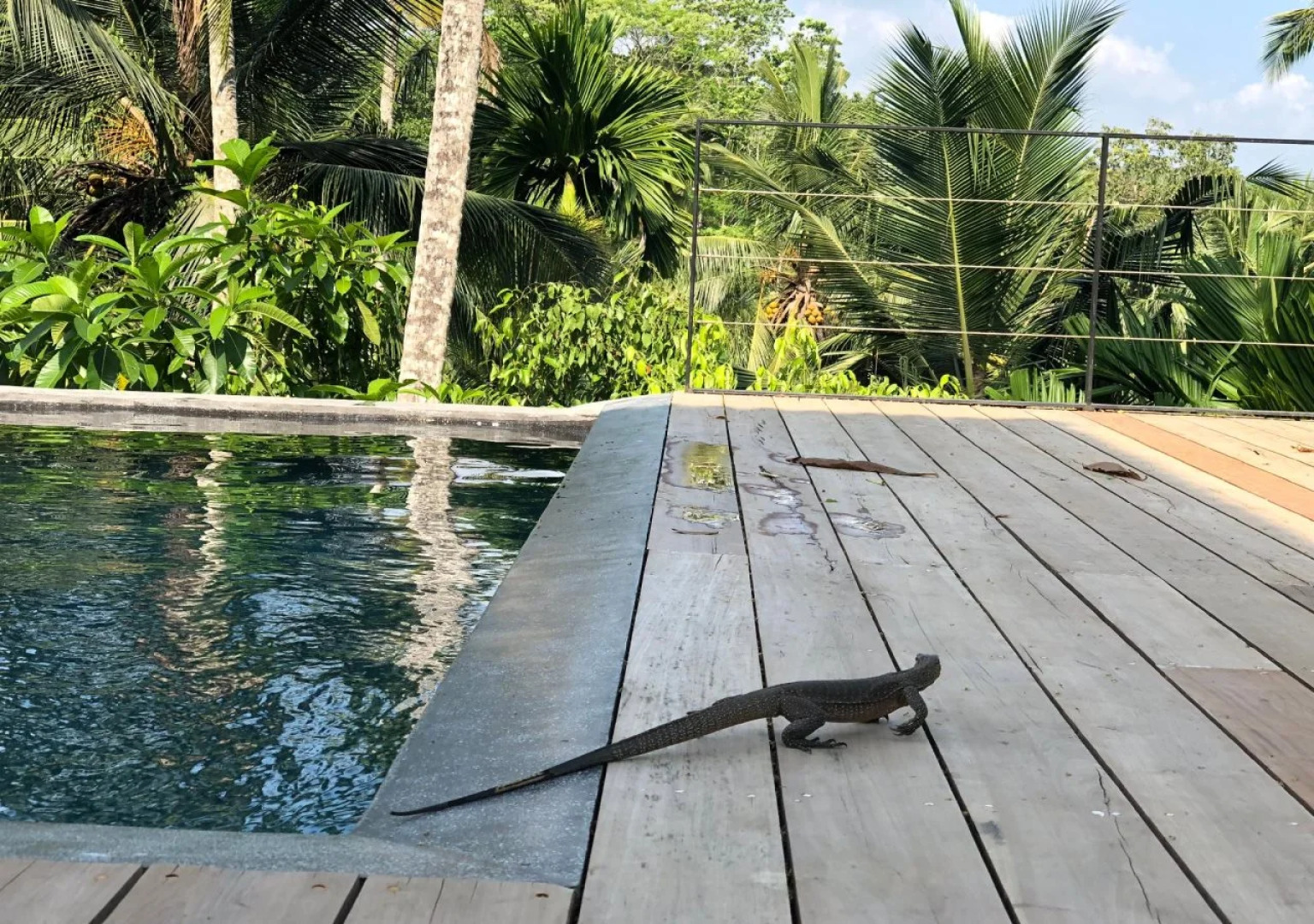 Good Vibes Villas Retreat And Restaurant