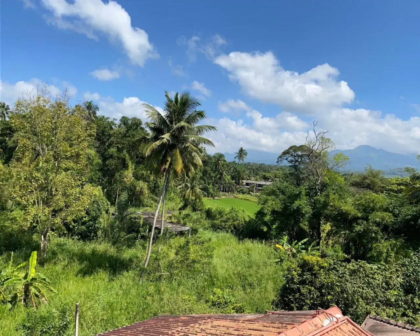 Hotel Spring View (Pvt) Ltd