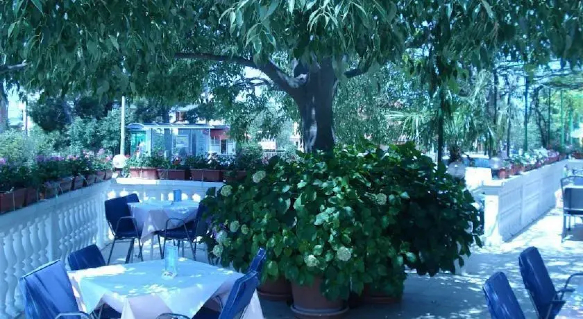 Guest house Podgorje