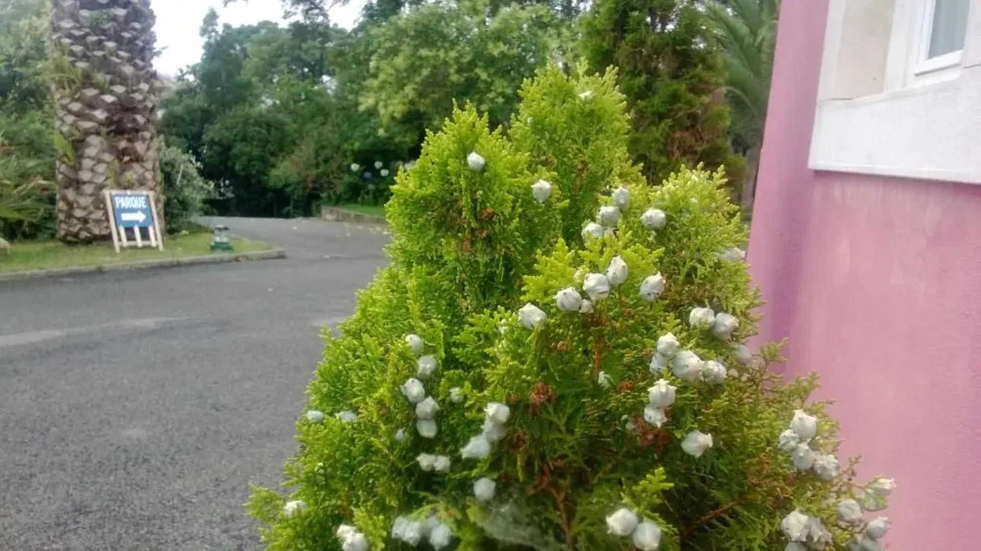 Quinta De Sao Francisco