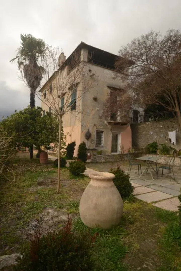 Il Pernambucco della Contessa