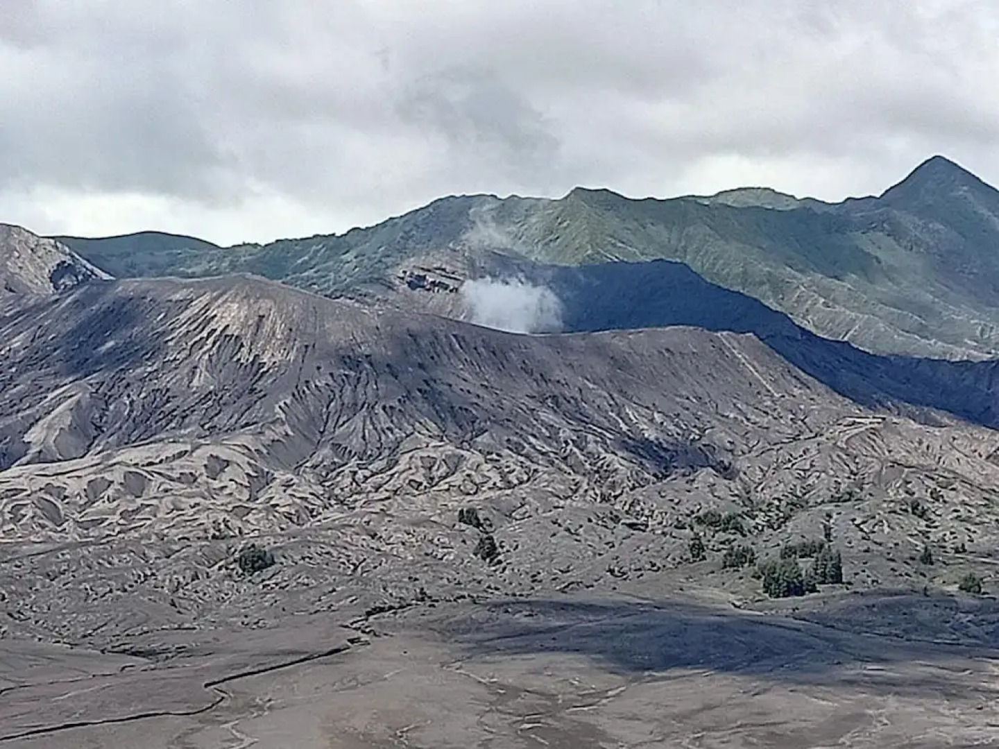 Istana Bromo Resort and Resto