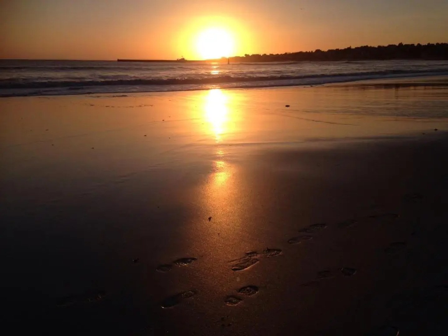 T2 Quartier du Rosmeur