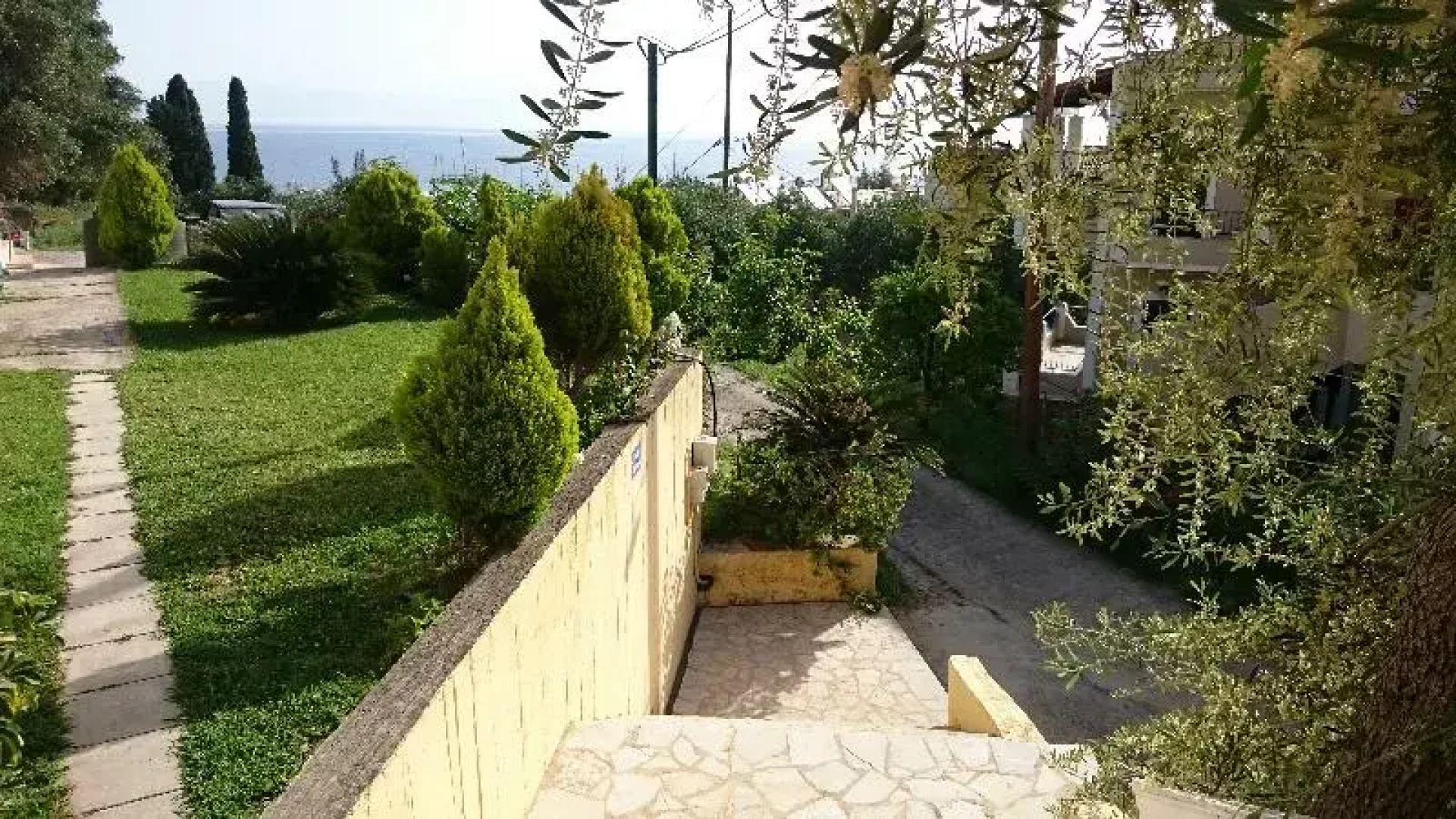 Roza Studios