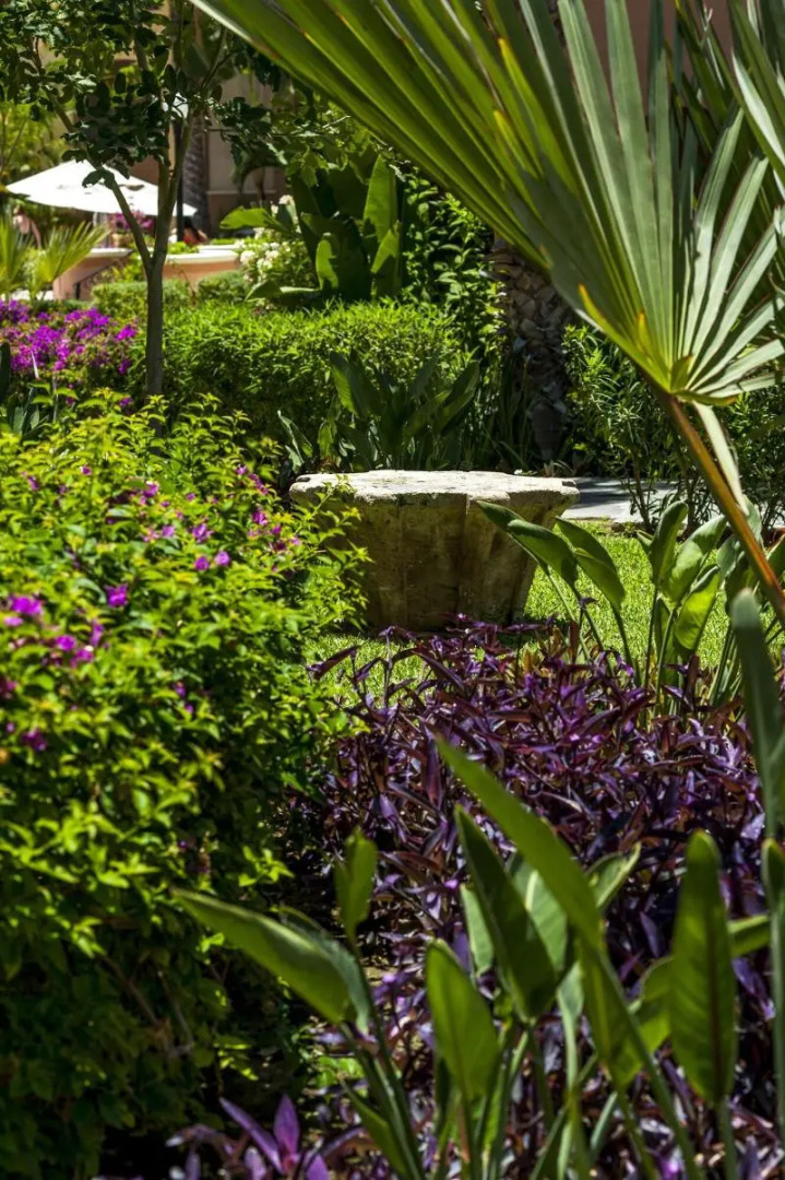 Deluxe Oasis In Los Cabos