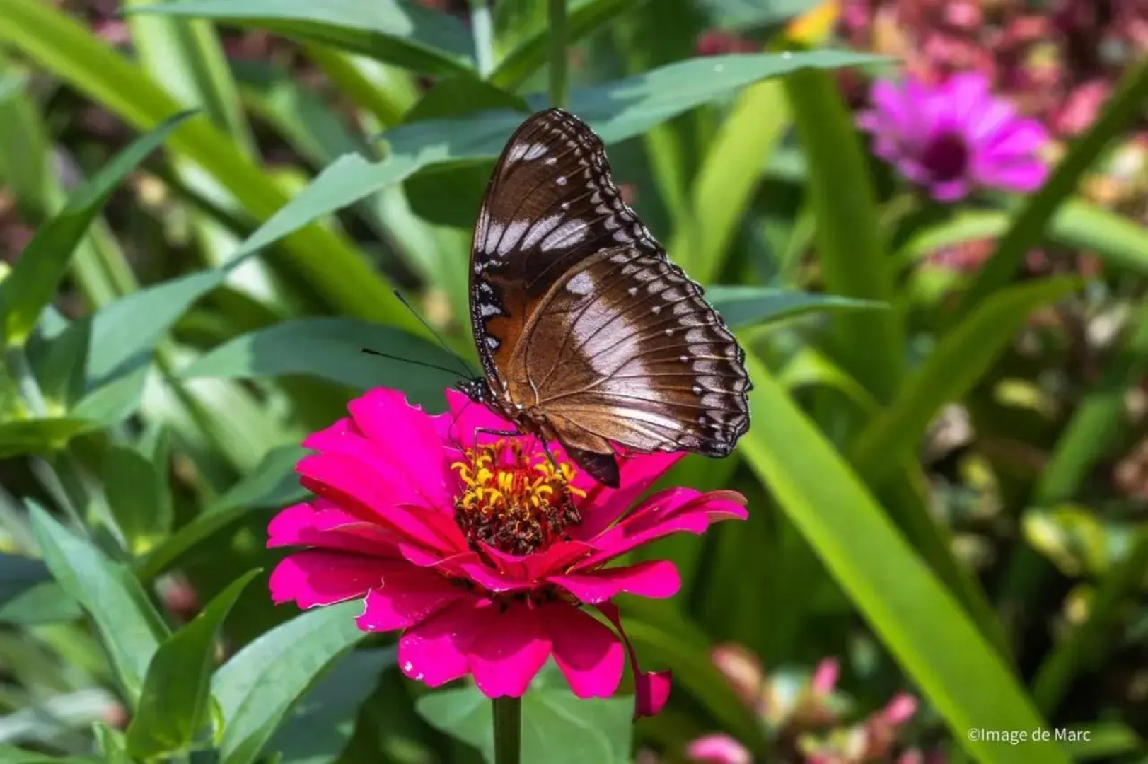 Villa Uma Ayu Sidemen
