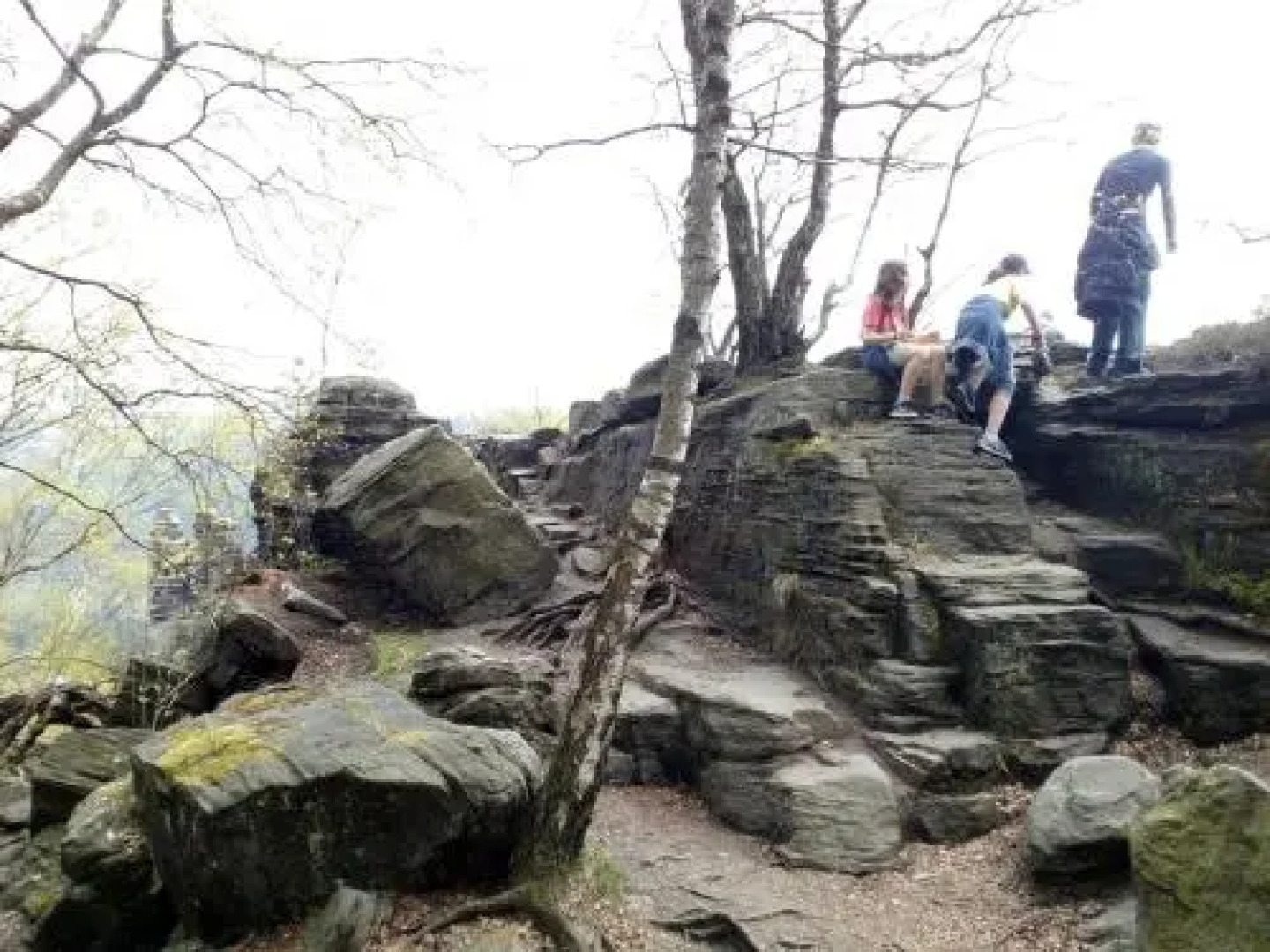 Apartments Rose Garden