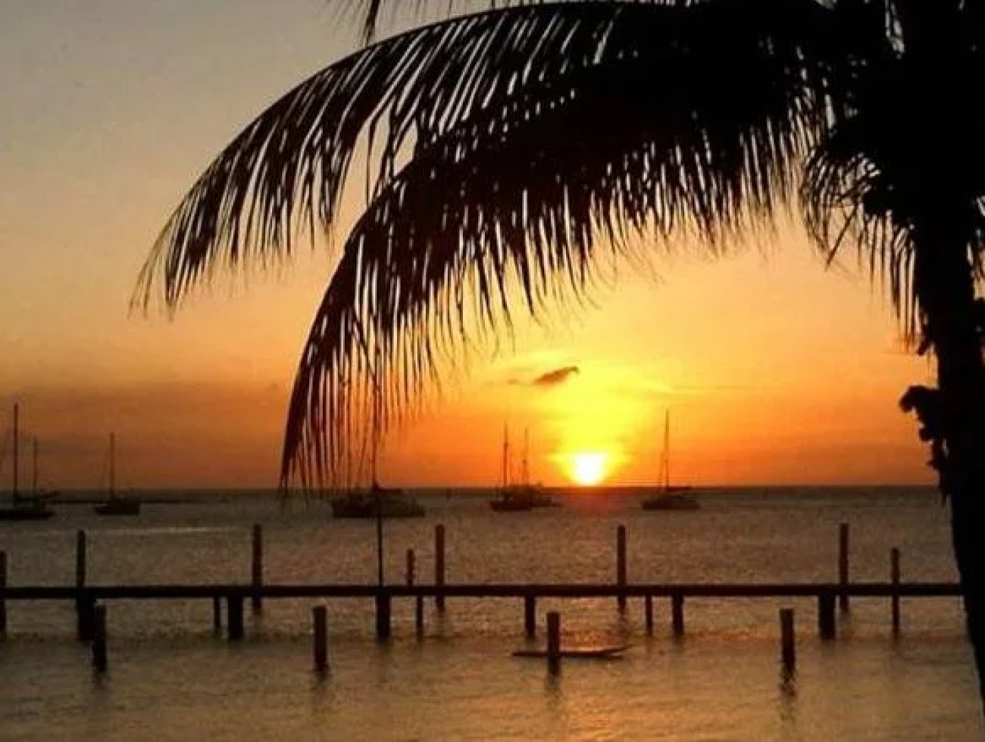 Aruba Surfside Marina