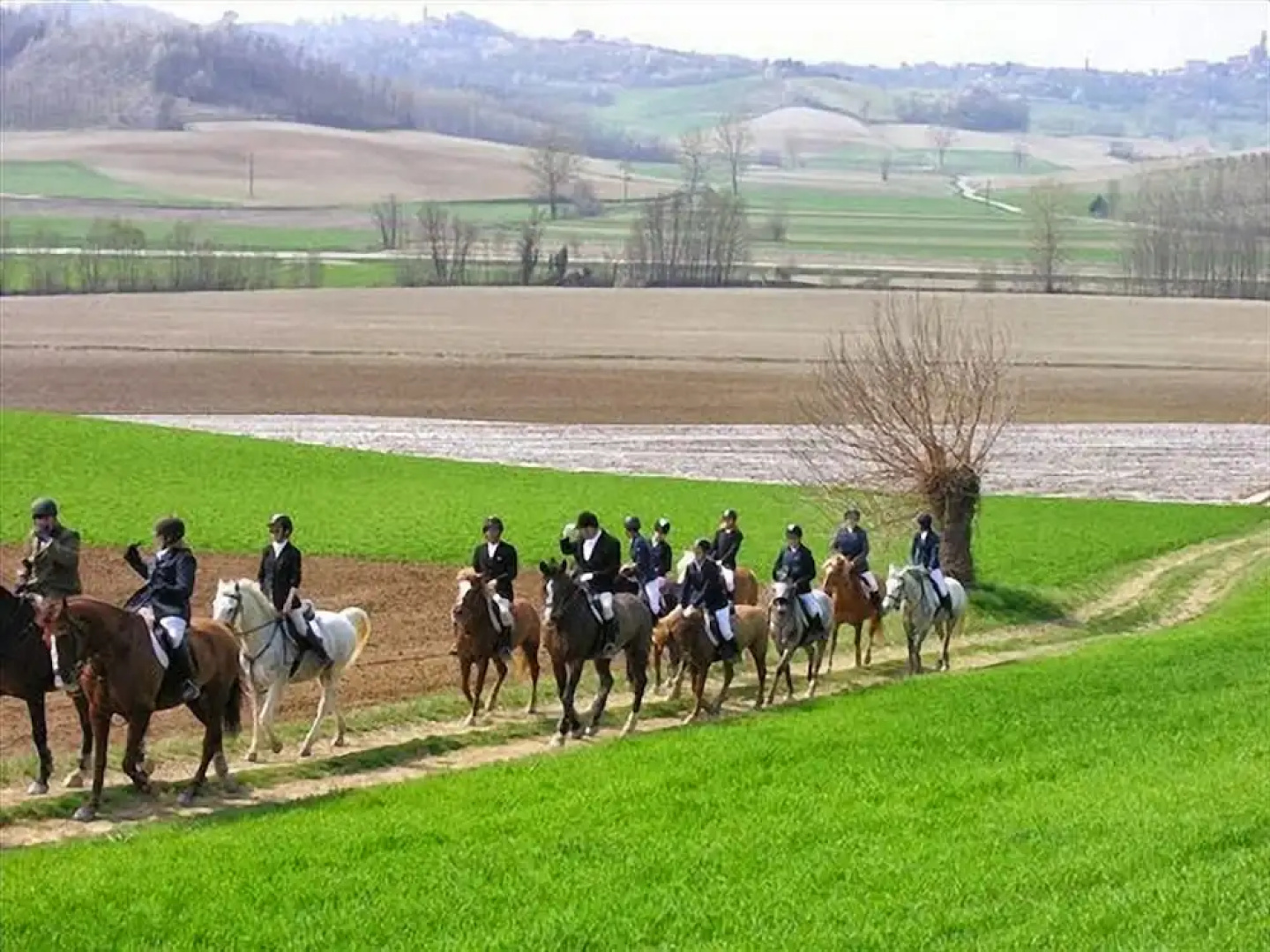 Le Ginestre Alloggio Monferrato