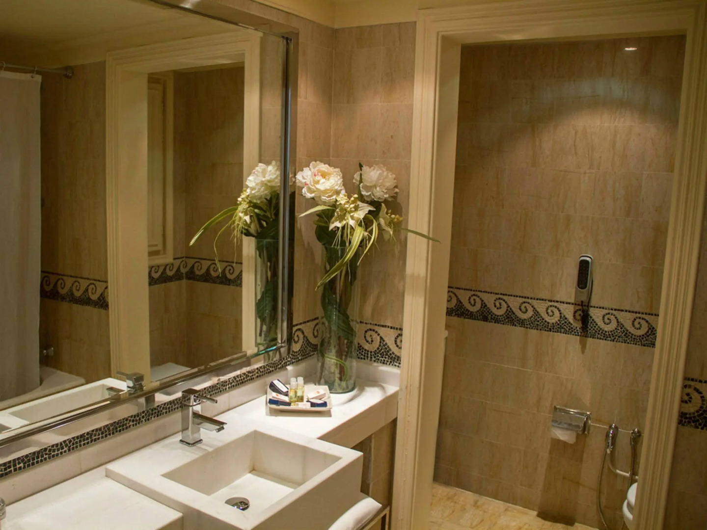 Hotel Acropole Tunis