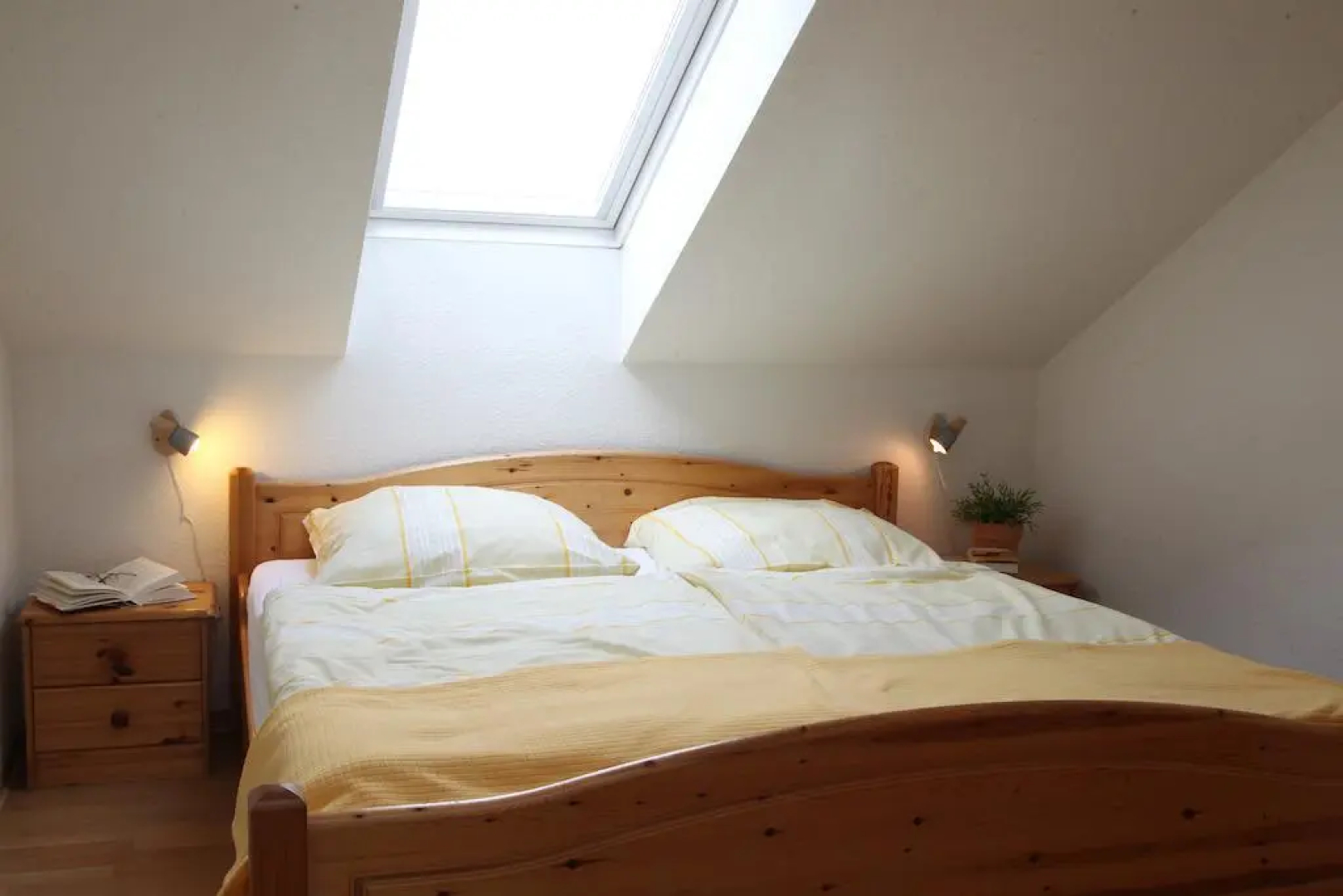 Traberhof - Landurlaub in seiner schönsten Form - freies Reiten inbegriffen - Hunde willkommen - Sauna im Haus - Kanuverleih - tolle Radwege - Deich in Sichtweite