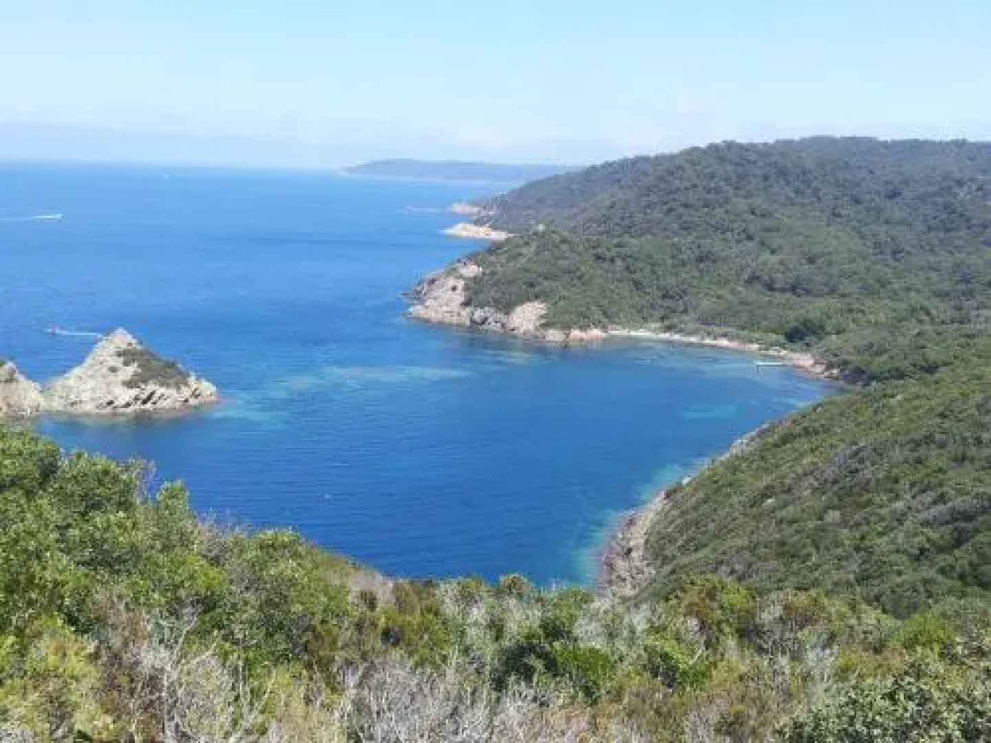 " Au Morgan de vous "