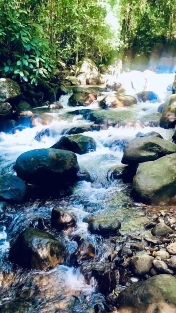 Refugium Silent Wings With Natural Pool