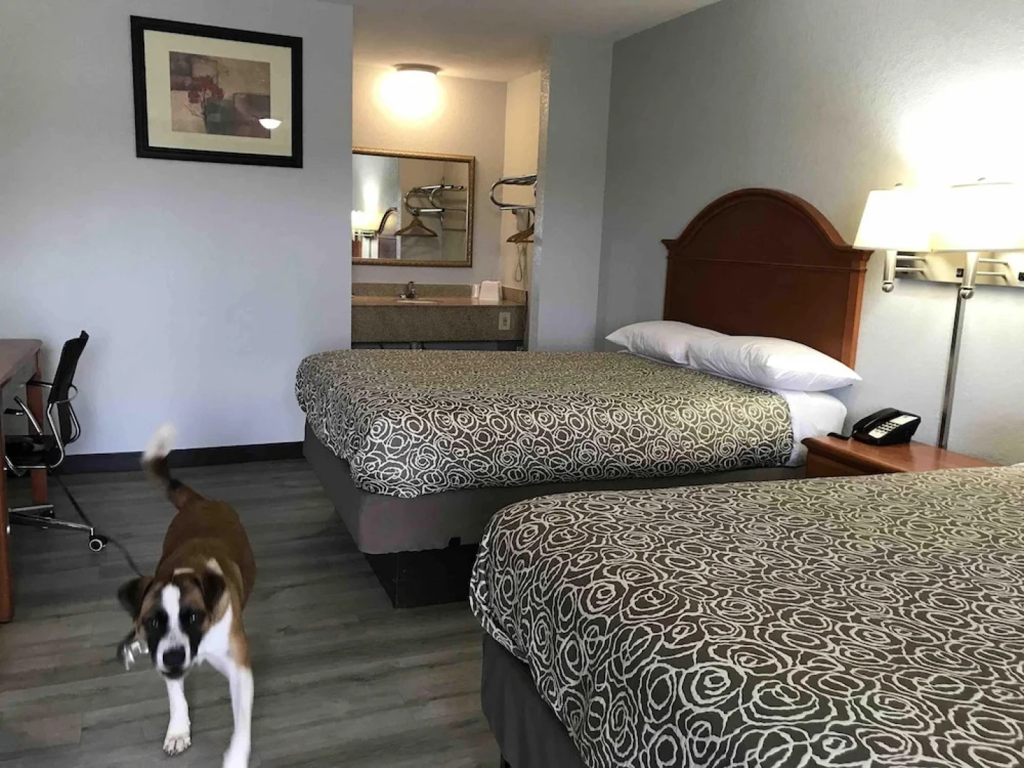 Walnut Inn Motel