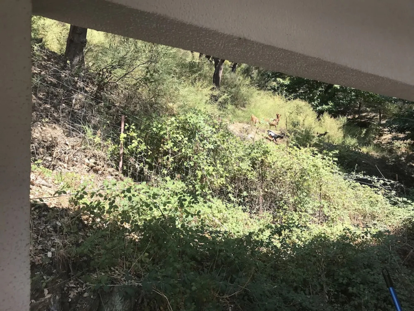 Casa Rural los Tres Duendes