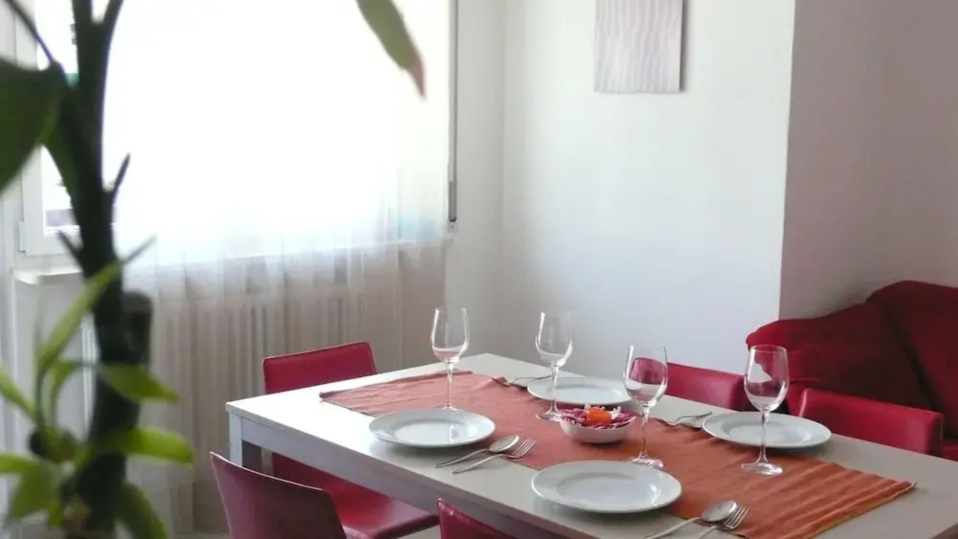 Modern and Elegant Apartments