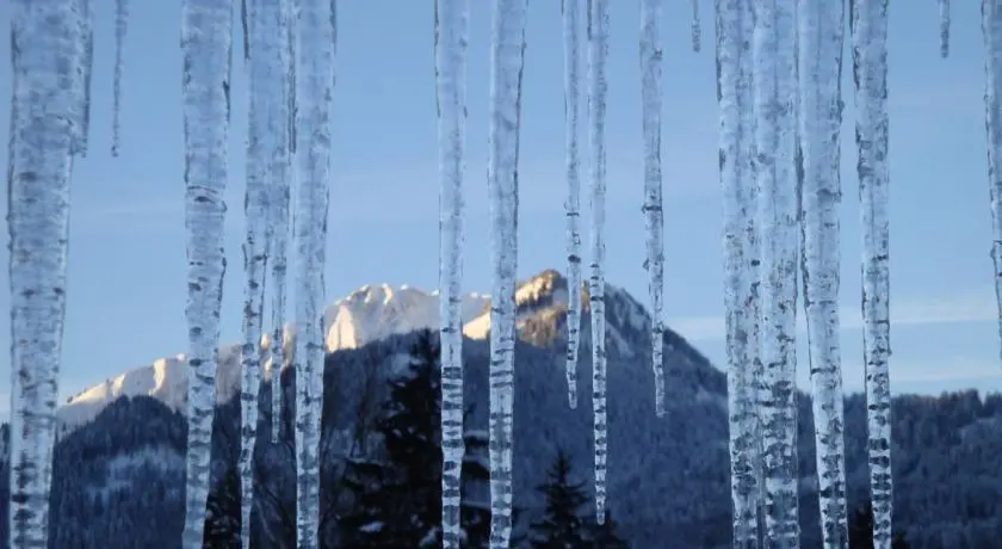 Ferienwohnung Stillachwiese