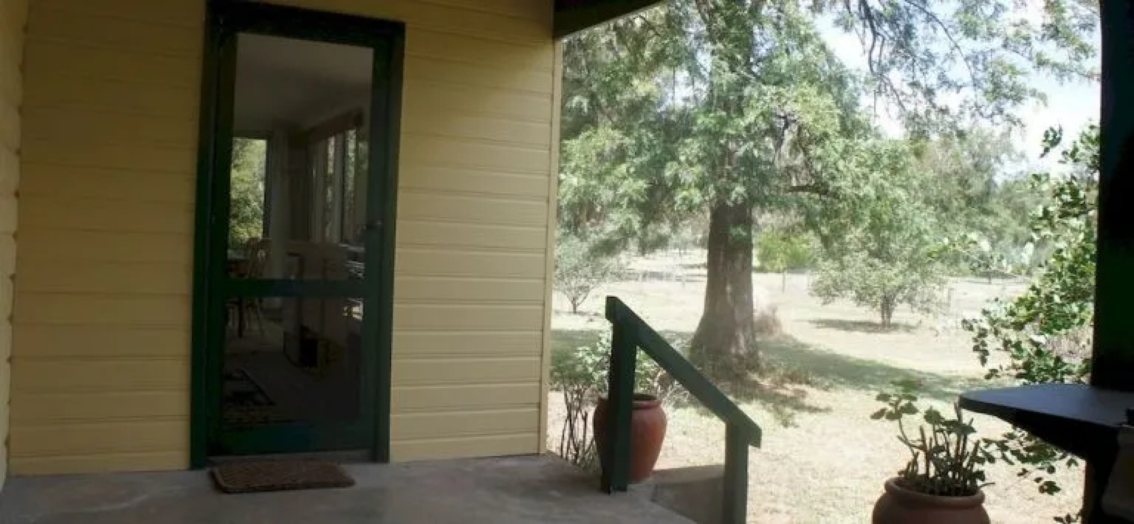 Rosnay Organic Vineyard, Olive Grove, Figs and Farmstay