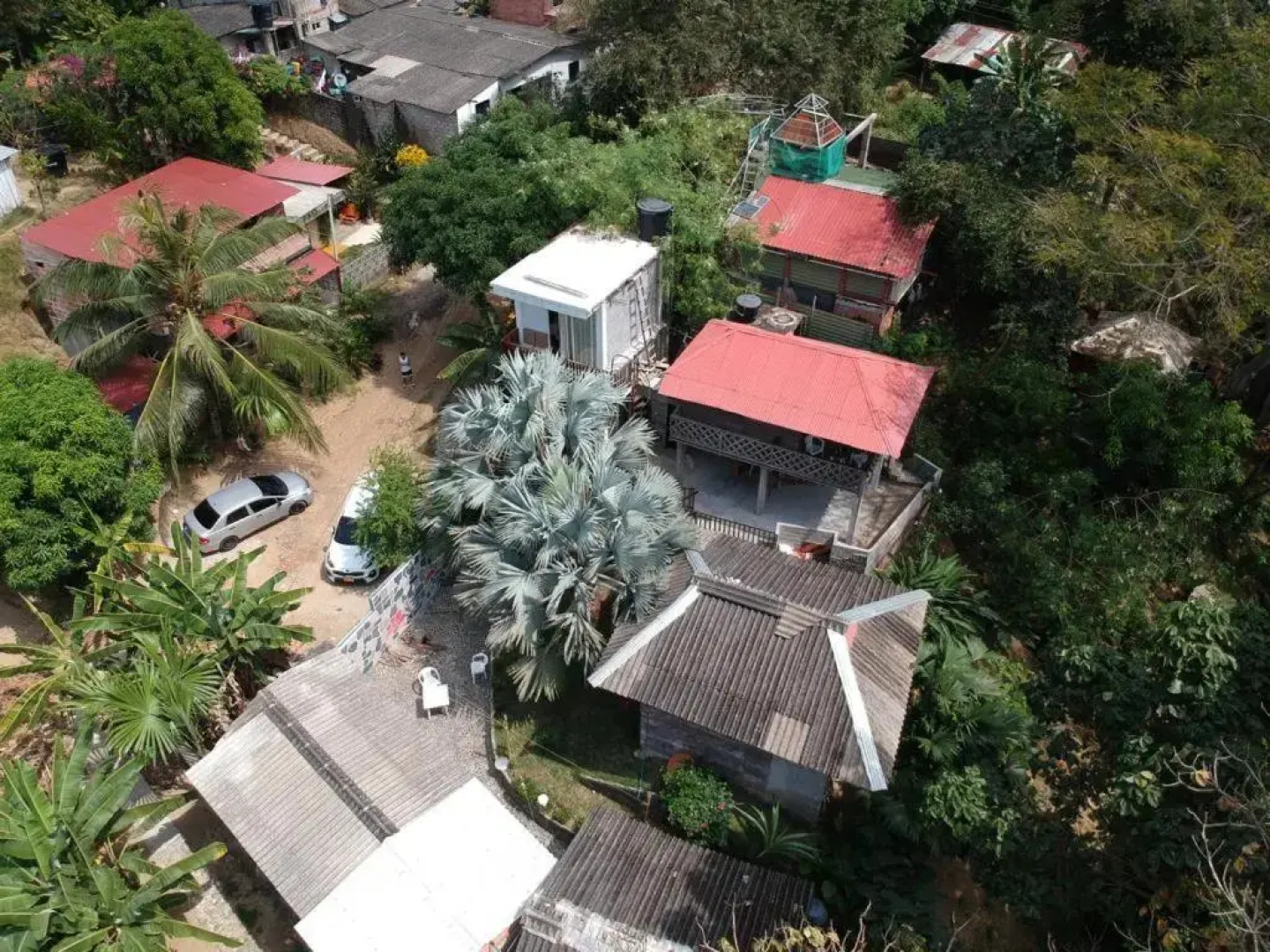 Deep Forest Posadas Ecoturisticas