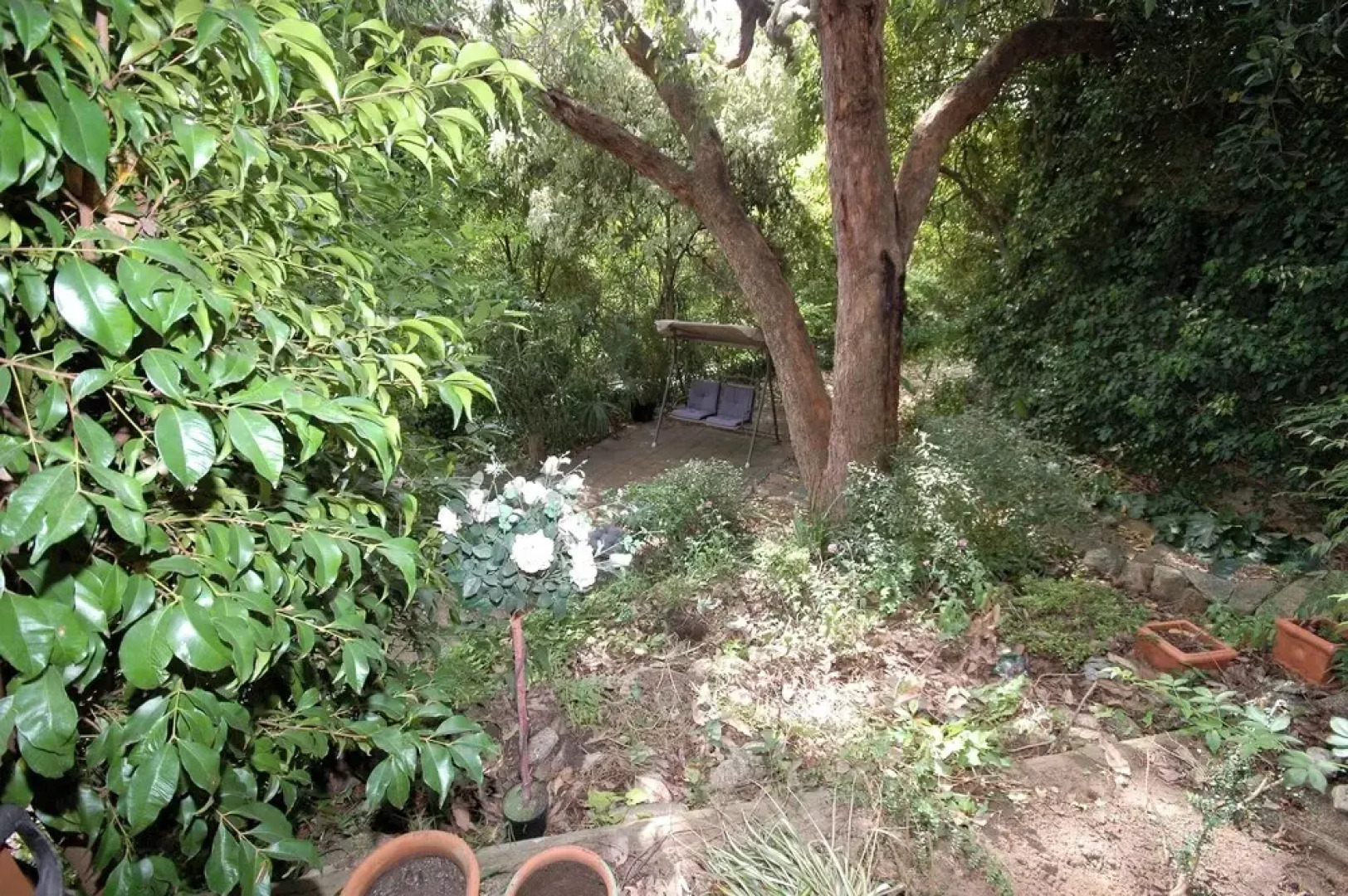 Garden Cottage Beechworth