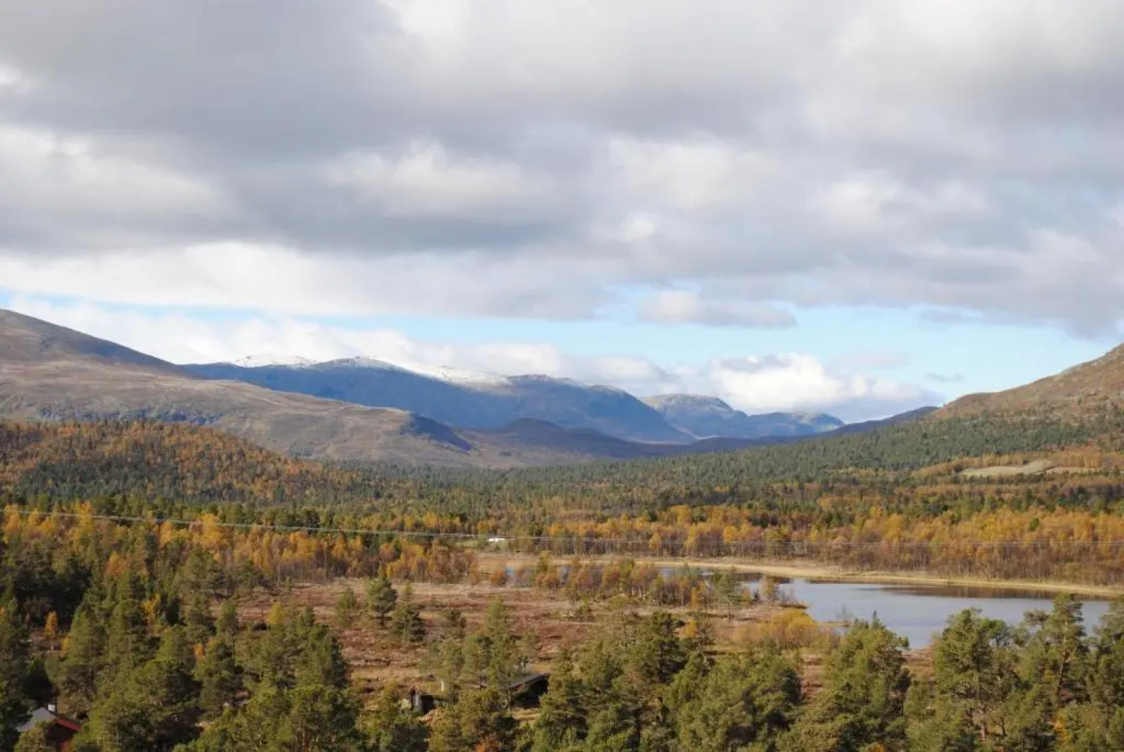Lusæter Timber Cabins